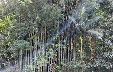 Imagem 9: Linda chácara na área urbana do município de Corbélia!!!