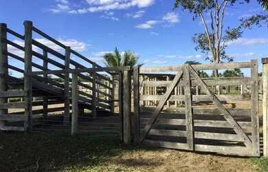 Imagem 12: Fazenda na Chapada Gaúcha em Minas Gerais, à venda com 1.016ha