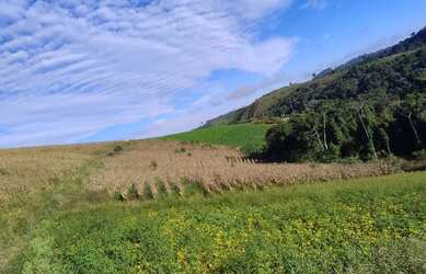 Imagem 4: Fazenda Boa Vista - Fazenda à venda, Piaçu, Muniz Freire, ES