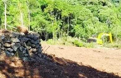 Imagem 2: Sítio / Chácara para Venda em Nova Petrópolis, Linha Riachuelo