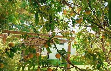 Imagem 5: Raridade no Mercado Casa 150m², 4 Quartos, Financiável por R$ 380 mil