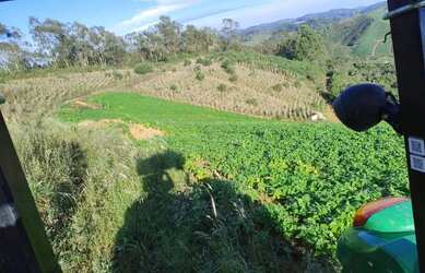 Imagem 6: Fazenda Boa Vista - Fazenda à venda, Piaçu, Muniz Freire, ES