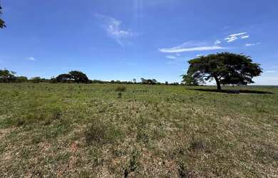 Imagem 10: Fazenda com cana próximo Uberlândia