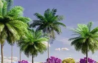 Imagem: O terreno possui 240m² de Área e Imóvel novo e está localizado