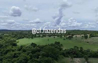 Imagem 8: Fazenda à venda em Goiás-Go