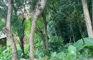 Imagem: O terreno possui 12m² de Área e está localizado em Guaraituba