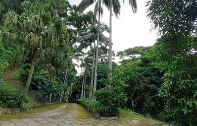 Imagem: A fazenda à venda possui 600m² de Área e está localizado