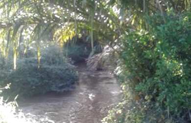 Imagem: A fazenda está localizado em Camaçari, BA à venda por R$6.000