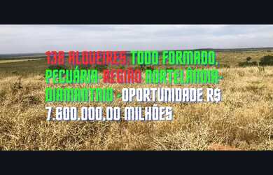 Imagem 1: 138,00 Alqueires, Pecuária Toda aberta, sede, Diamantino, Nortelândia-MT