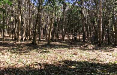 Imagem: O terreno possui 3.200m² de Área e está localizado em Juquitiba