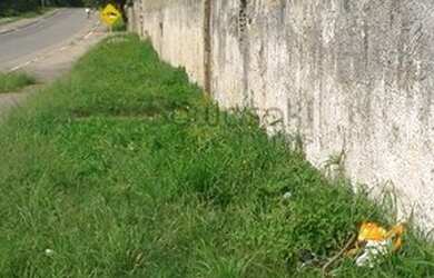 Imagem 7: Terreno para Venda em Planta Meireles Sobrinho Piraquara-PR