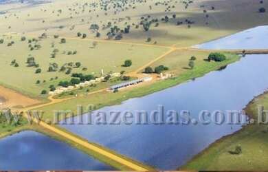 Imagem: A fazenda possui 400m² de Área e está localizado em Goiás