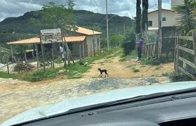 Imagem 3: Casa no barão. 1 Banheiro