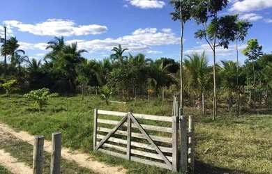Imagem 16: Fazenda na Chapada Gaúcha em Minas Gerais, à venda com 1.016ha