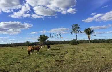 Imagem 15: Fazenda na Chapada Gaúcha em Minas Gerais, à venda com 1.016ha
