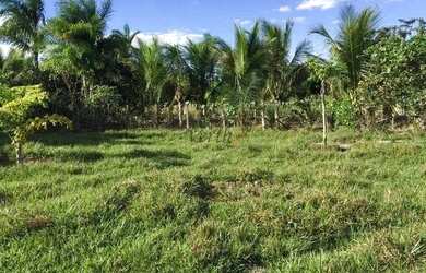 Imagem 13: Fazenda na Chapada Gaúcha em Minas Gerais, à venda com 1.016ha