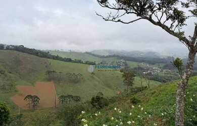 Imagem: O terreno possui 1009m² de Área e está localizado em Santo