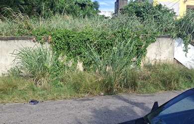 Imagem 2: Oportunidade única centro de campo grande leiam