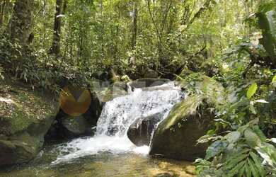 Imagem 5: Casa com 7 dormitórios à venda, 522 m² por R$ 2.500.000 - Park Imperial - Caraguatatuba/SP
