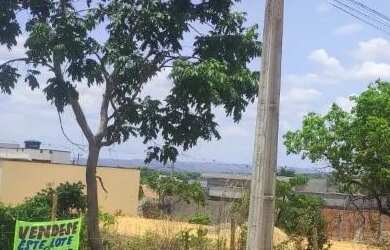 Imagem 2: LOTE - RESID. TERRA NOVA. 300.000m² de Área