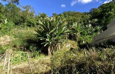 Imagem 13: Terreno para venda, Boa Esperança, Lumiar - Rio de Janeiro