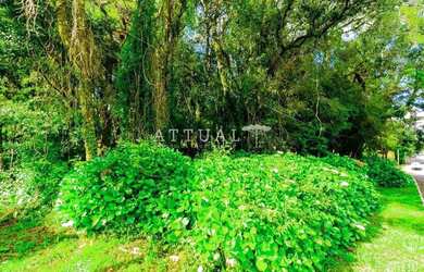 Imagem 9: LINDO TERRENO NO CONDOMÍNIO VILAGGIO EM GRAMADO