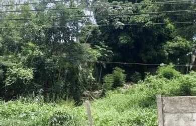 Imagem: O terreno possui 350m² de Área e está localizado em Quilombo