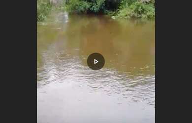 Imagem 2: Baixou preço 470 hectares na região norte do Pará por R$3 mil por hectare