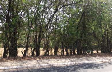 Imagem: O terreno possui 7000m² de Área e está localizado em Senador