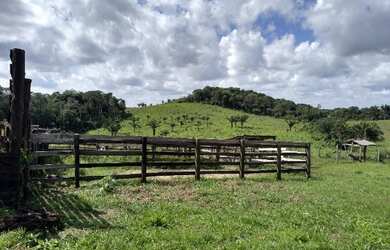 Imagem 5: 400 hectares por R$2 milhões no Pará pronta 80 aberta em pasto