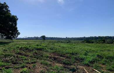 Imagem 2: Venda de fazendo. 400.000m² de Área