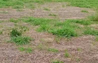 Imagem 10: 03a-1RMLI20. 500m² de Área