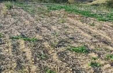 Imagem: O terreno possui 500m² de Área e está localizado em Alvinópolis