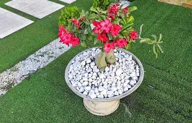 Imagem: A casa possui 3 Dormitórios, 4 Banheiros, 2 Vagas na garagem