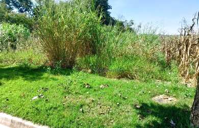 Imagem: Terreno à venda, 250 m² por R$ 260.000,00 - Capivari - Louveira/SP