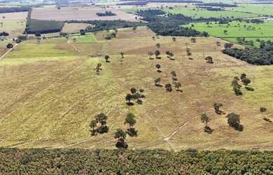 Imagem: A chácara está localizado em Palestina, SP à venda por R$7.900.000