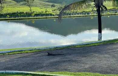 Imagem 13: Fazenda de 650 alqueires em colinas do sul de goias 55 milhões