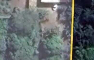 Imagem: A fazenda possui 5.000m² de Área e está localizado em São