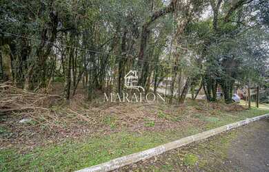 Imagem 5: TERRENO EM EXCELENTE LOCALIZAÇÃO