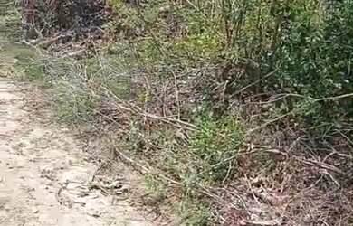 Imagem: O terreno possui 600m² de Área, Imóvel novo e está localizado