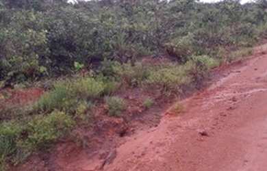 Imagem: A fazenda possui 1.000m² de Área e está localizado em Zona