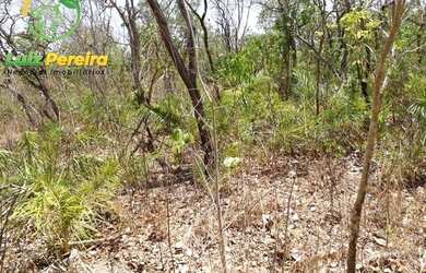 Imagem: A fazenda possui 246m² de Área e está localizado em Centenário