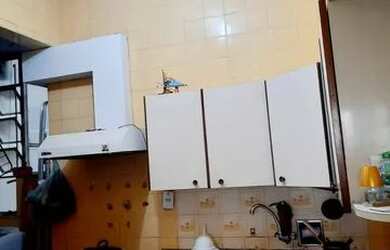 Imagem 11: 2Qtos com deps 75m²