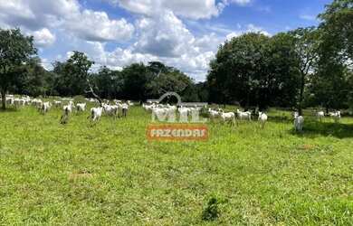 Imagem 5: Fazenda Colonial Goiás velho 34 alqueires ótima localização
