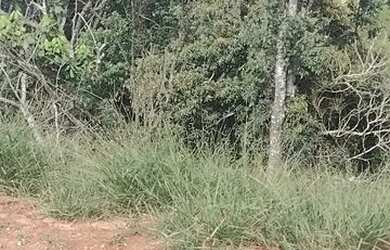 Imagem 7: Terreno em Nazaré Paulista