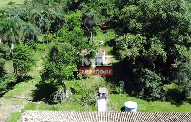 Imagem 12: Fazenda Colonial Goiás velho 34 alqueires ótima localização