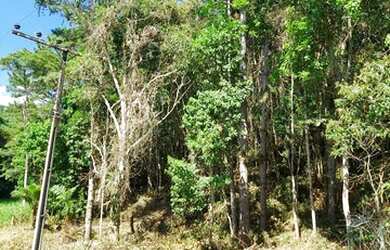 Imagem 2: Terreno 1000 m² para construir em Porto Belo 400 metros do mar