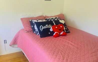 Imagem 10: Apartamento bairro jardim carvalho, ensolarado pela manha. reformado