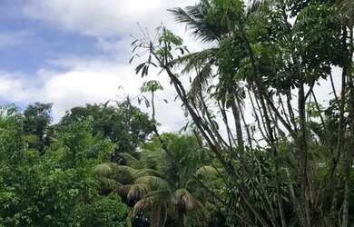 Imagem 7: Excelente sítio com 15.400 metros quadrados completamente equipado e...