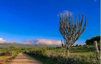 Imagem: A fazenda possui 304920m² de Área e está localizado em Iaçu